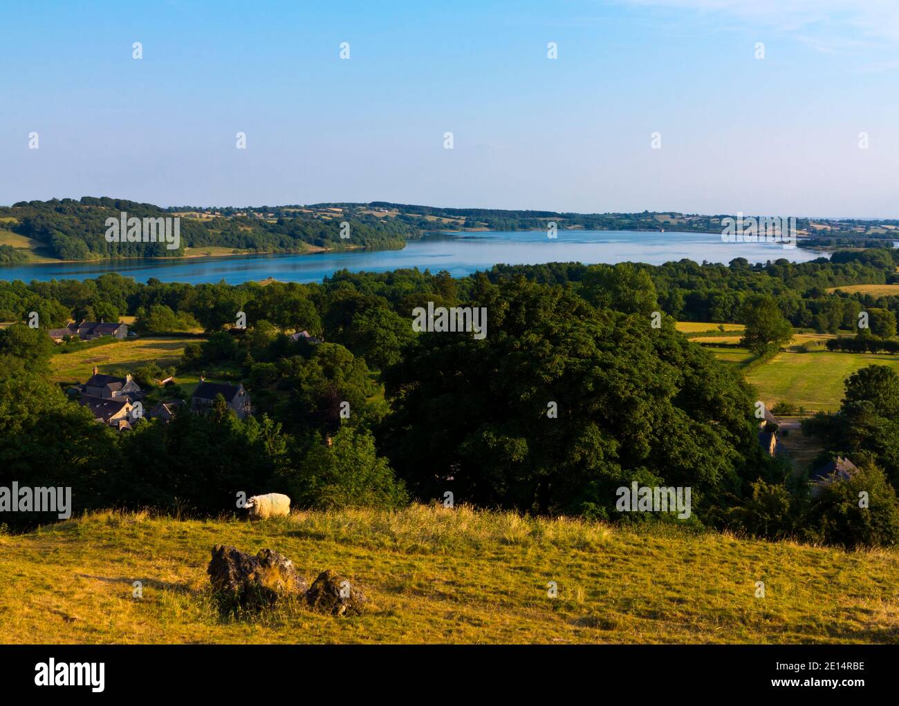 Paesaggio estivo con alberi e Carsington Water Beyond a Carsington Pascoli nella zona Derbyshire Dales del Peak District Inghilterra Regno Unito Foto Stock