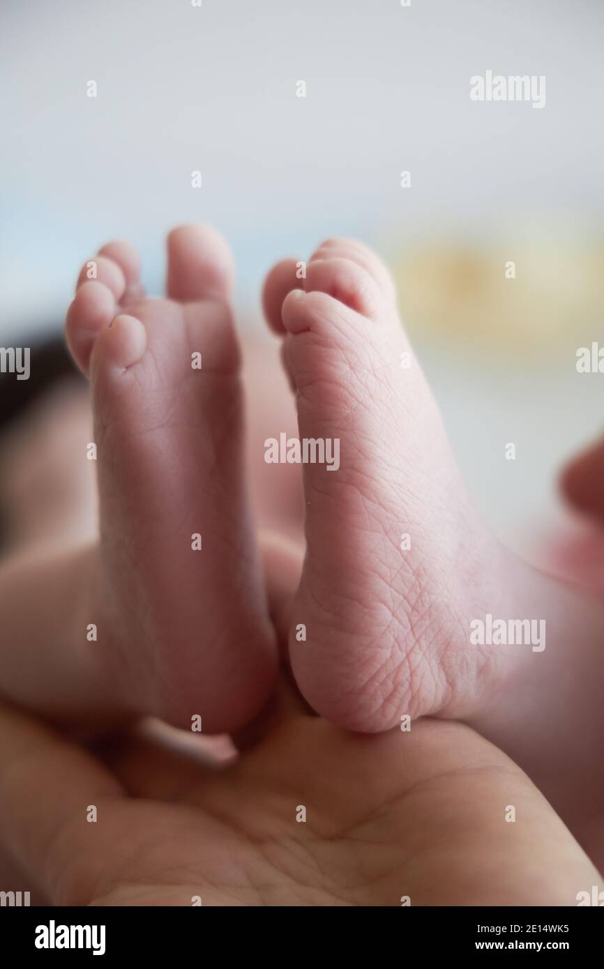 Piccoli piedi di un neonato da vicino. I primi giorni della vita di un bambino. Foto Stock