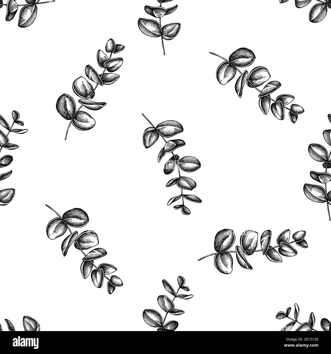 Motivo senza cuciture con eucalipto bianco e nero Illustrazione Vettoriale