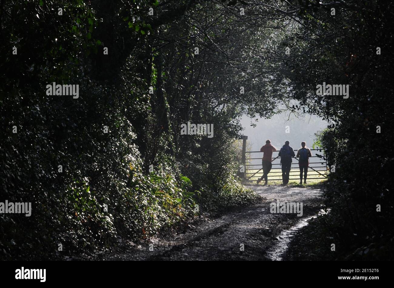 Tre escursionisti che si appoggiano su un cancello ammirando la vista attraverso i campi nel sole di prima mattina. Foto Stock