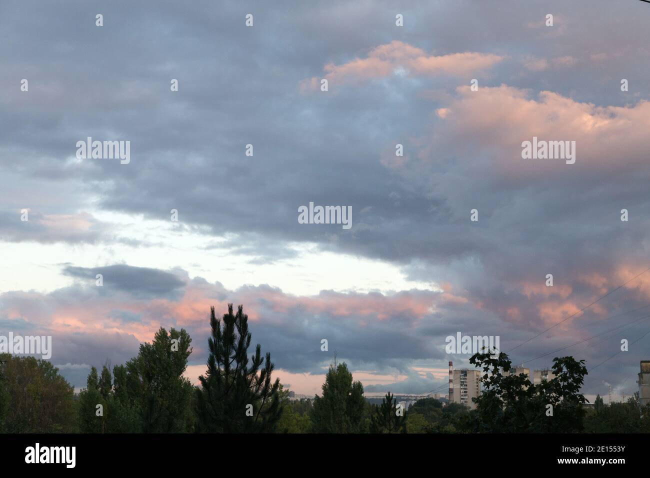 Silhouette di edifici e alberi al tramonto. Nuvole rosa come sfondo. Primo piano. Foto Stock