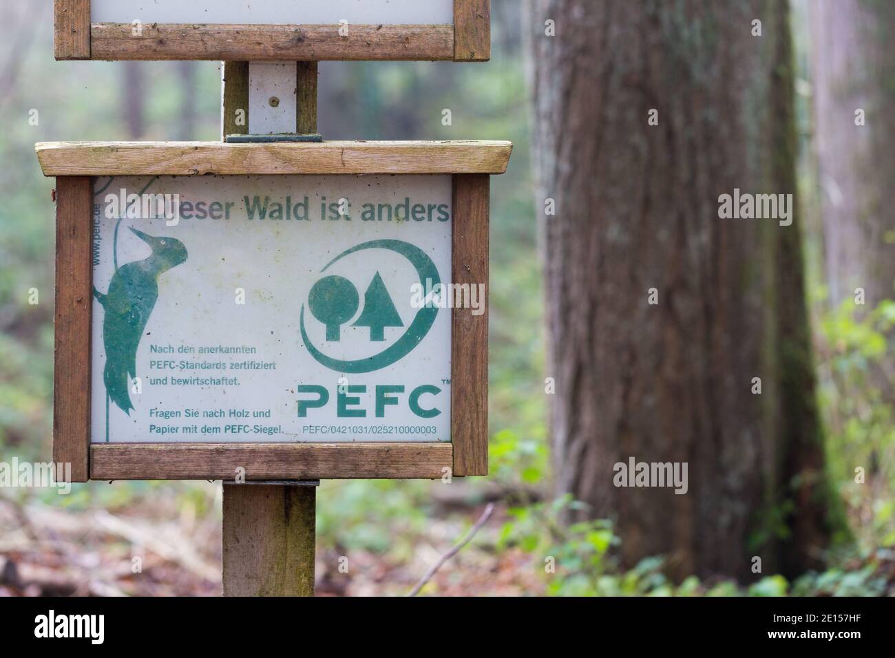 Landsberg, Germania - 25 novembre 2020: Insegna PEFC in una foresta bavarese. Albero sullo sfondo. Le foreste certificate PEFC sono gestite in modo sostenibile. Foto Stock