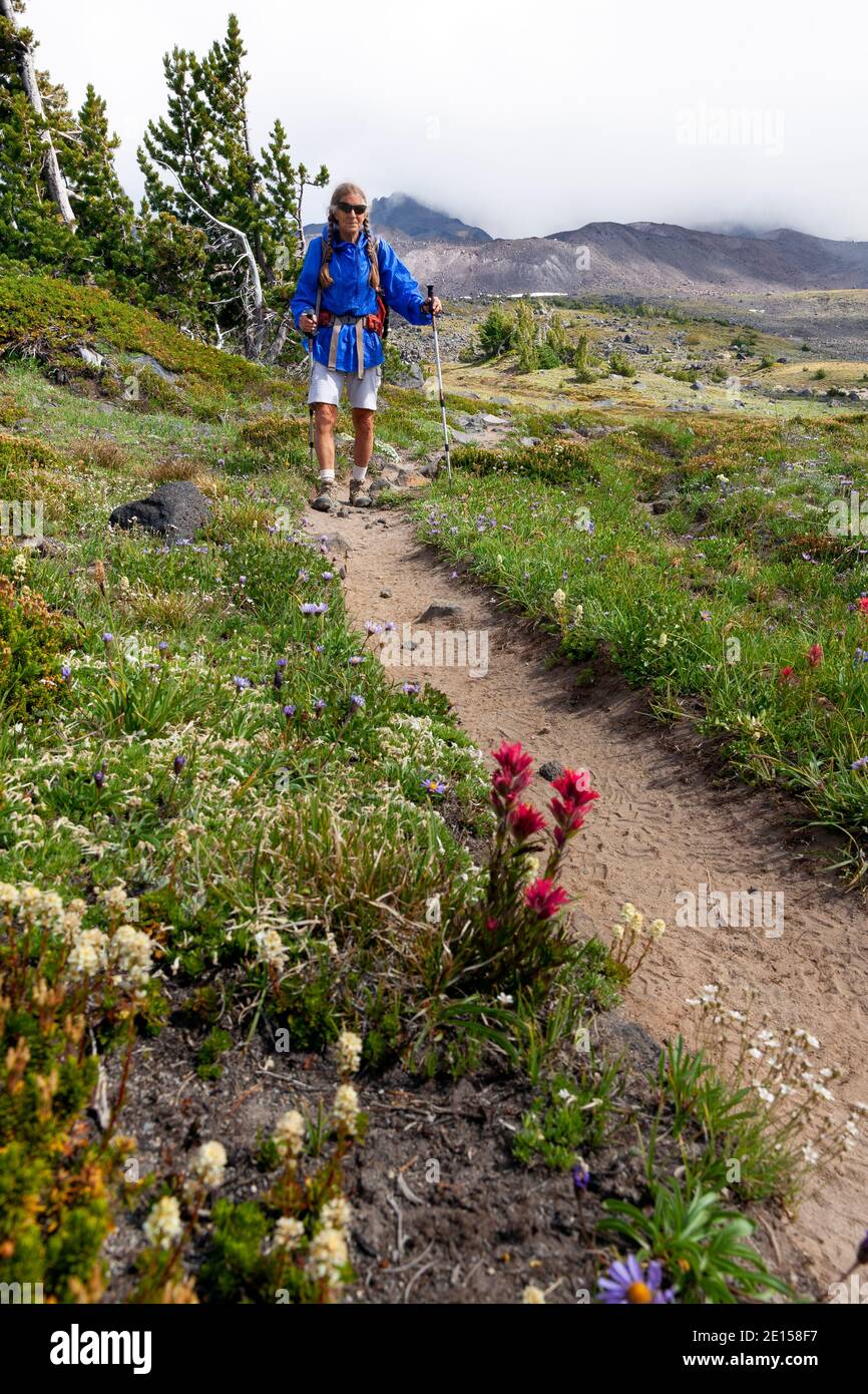 WA17619-00..... WASHINGTON - Vicky Spring escursioni sul sentiero 10 vicino High Camp nel Mount Adams Wilderness, Gifford Pinchot National Forest. Monte Adams Foto Stock