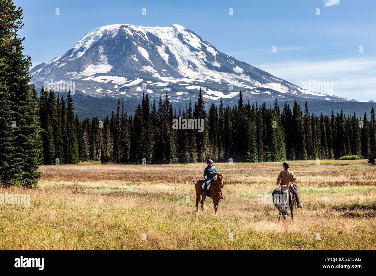 WA17636-00..... WASHINGTON - Cavalieri a cavallo sul Muddy Meadows Trail con Mount Adams sullo sfondo, Gifford Pinchot National Forest. Foto Stock
