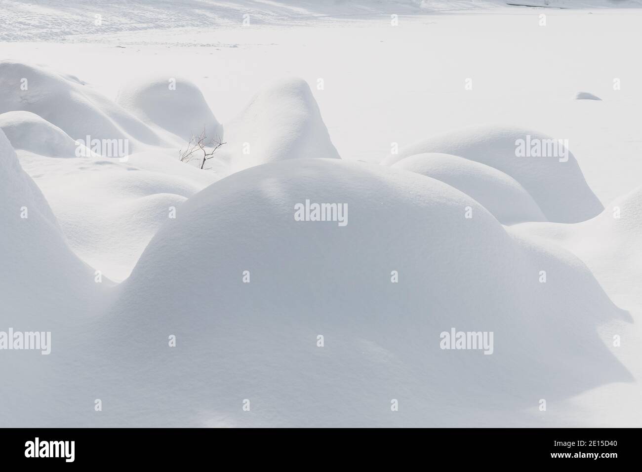 Paesaggio coperto di neve creando piccole colline curve Foto Stock