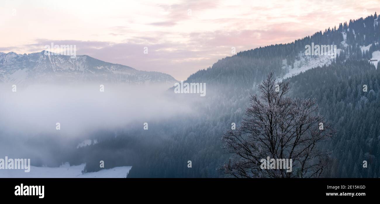 misty mattina nelle montagne vicino al lago Spitzingsee Foto Stock
