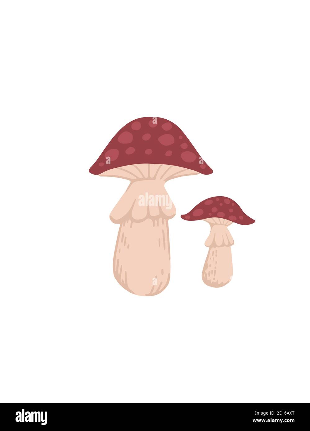 Gruppo di Fly Agarico fungo fresco avvelenoso organico piatto fungo illustrazione vettoriale isolata su sfondo bianco Illustrazione Vettoriale