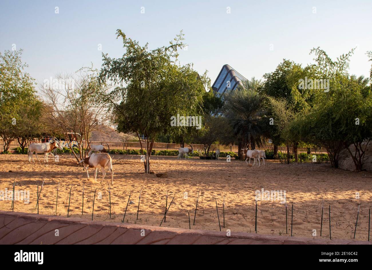 Dubai - Emirati Arabi Uniti, 12.29.2020 ingresso al Dubai Safari Park. Foto Stock