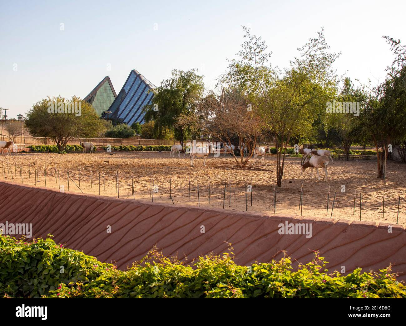 Dubai - Emirati Arabi Uniti, 12.29.2020 ingresso al Dubai Safari Park. Foto Stock