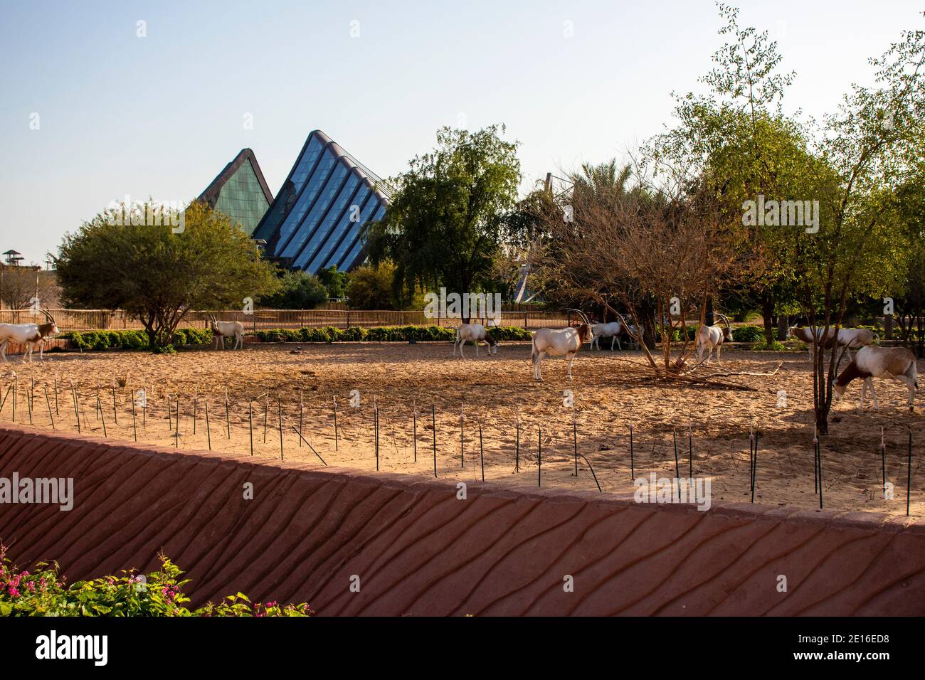 Dubai - Emirati Arabi Uniti, 12.29.2020 ingresso al Dubai Safari Park. Foto Stock