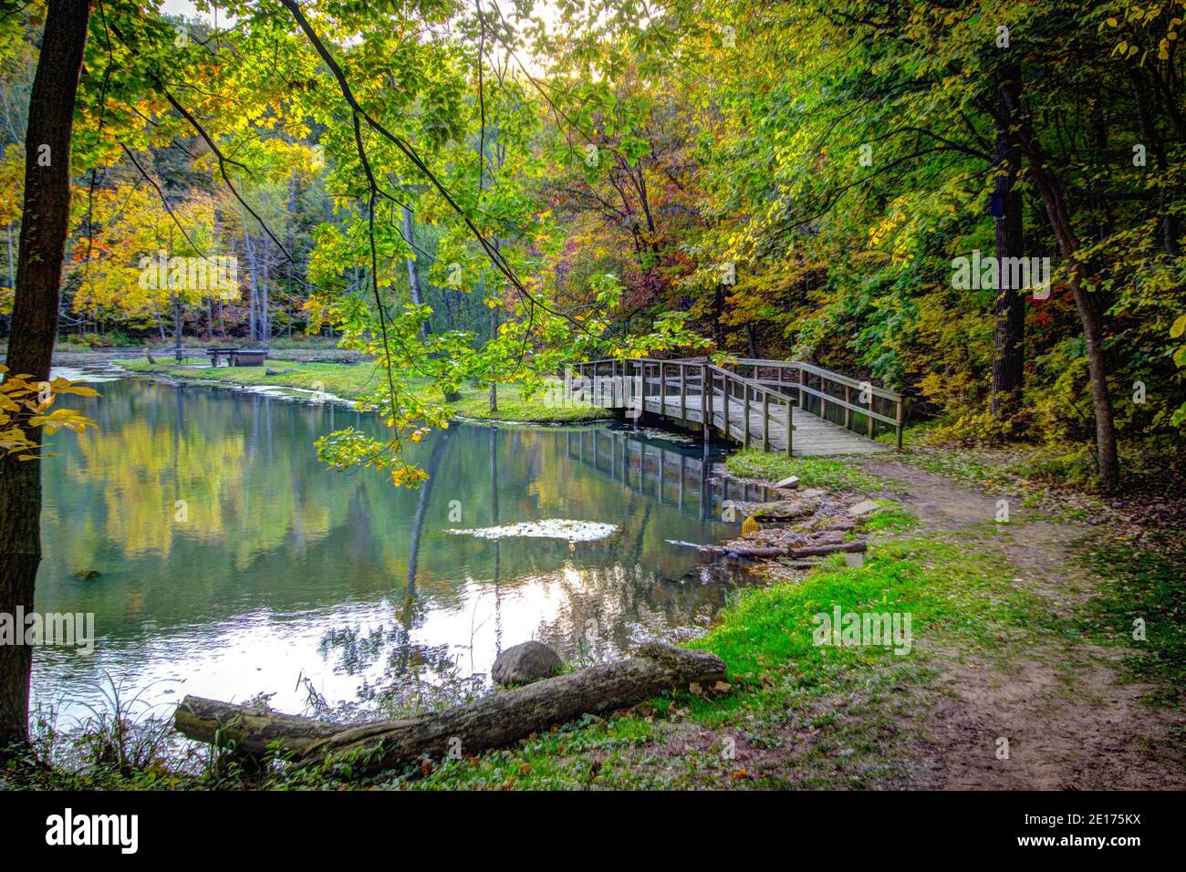 Bella scena forestale. Il piccolo ponte pedonale in legno attraversa un piccolo lago circondato da un bellissimo paesaggio lussureggiante della foresta a Fitzgerald Park, nella contea di Eaton Foto Stock