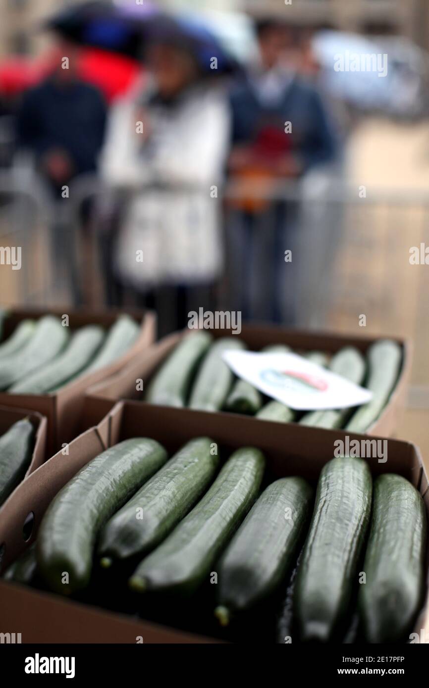 I coltivatori francesi di ortaggi sono visti durante una manifestazione organizzata dai produttori di cetrioli e tomatoe, sul Champ de Mars a Parigi, Francia, per protestare contro il crollo delle vendite di cetrioli a causa del timore della contaminazione da batteri E. coli, il 18 giugno 2011. Le autorità sanitarie tedesche hanno detto ai consumatori di evitare cetrioli crudi, pomodori e lattuga, sospettando che questi ortaggi fossero la fonte dei batteri che hanno ucciso 32 persone in Germania e altri in Svezia, causando caos tra i coltivatori di ortaggi europei. Foto di Stephane Lemouton/ABACAPRESS.COM Foto Stock