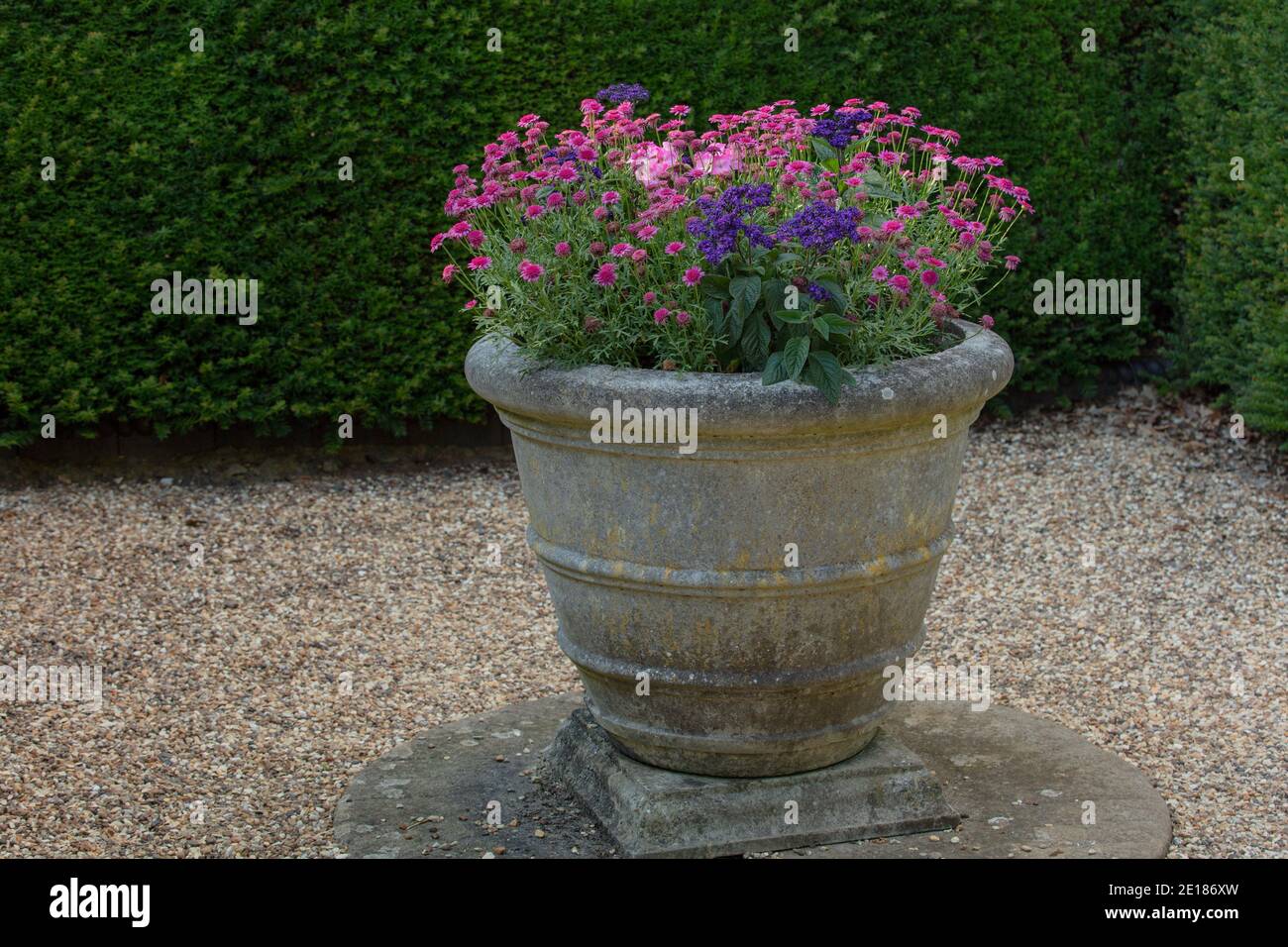 Pentola di pietra vista con piante in fiore estate nel giardino di ghiaia. Foto Stock