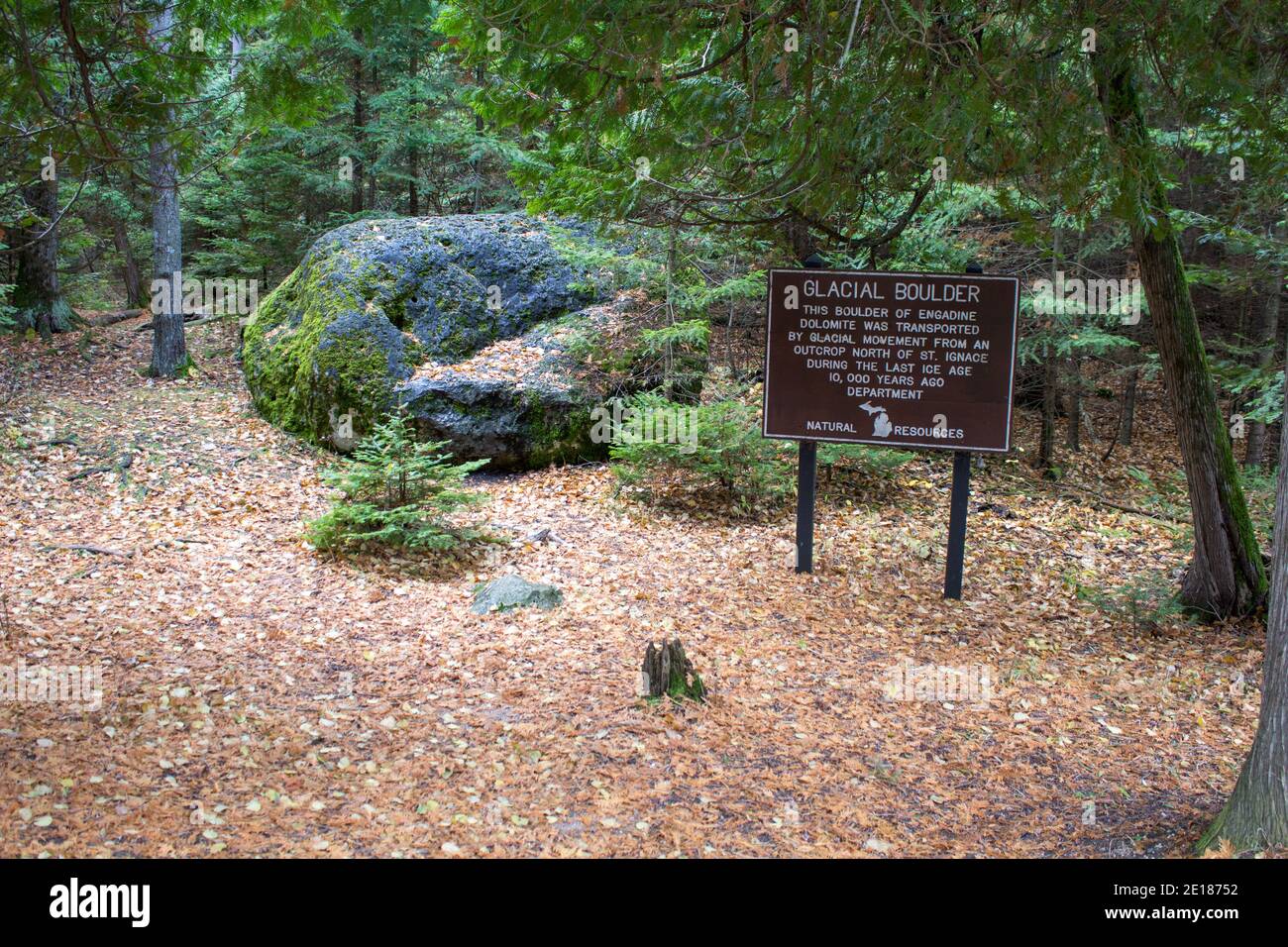 Massiccio antico masso glaciale di Engadina Dolomiti vicino alla costa del lago Michigan nel Wilderness state Park. Foto Stock