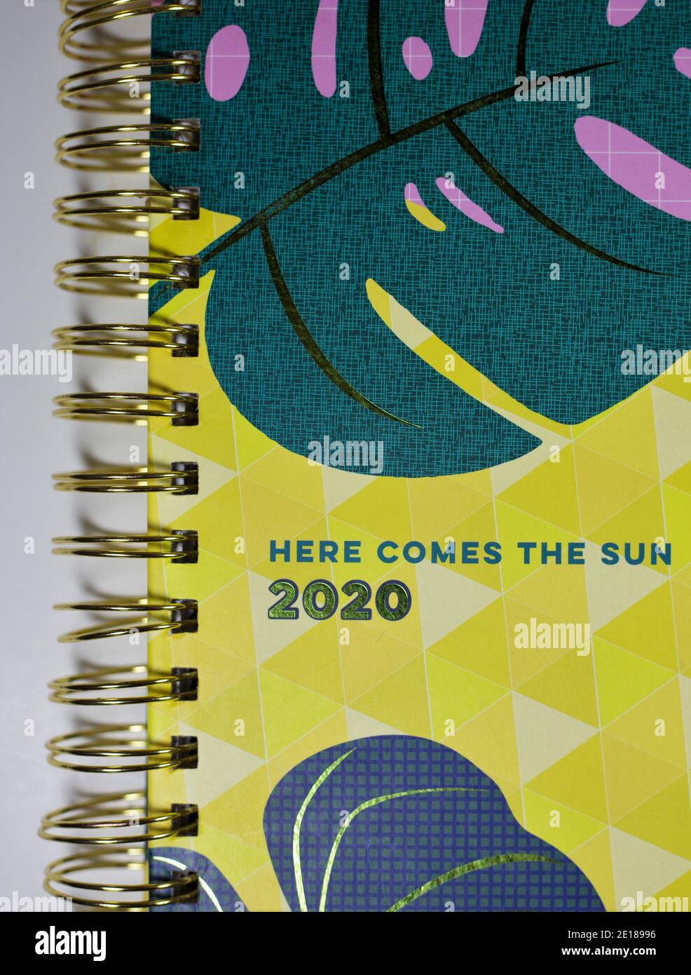 Un libro di 2020 pianificatore. Foto Stock