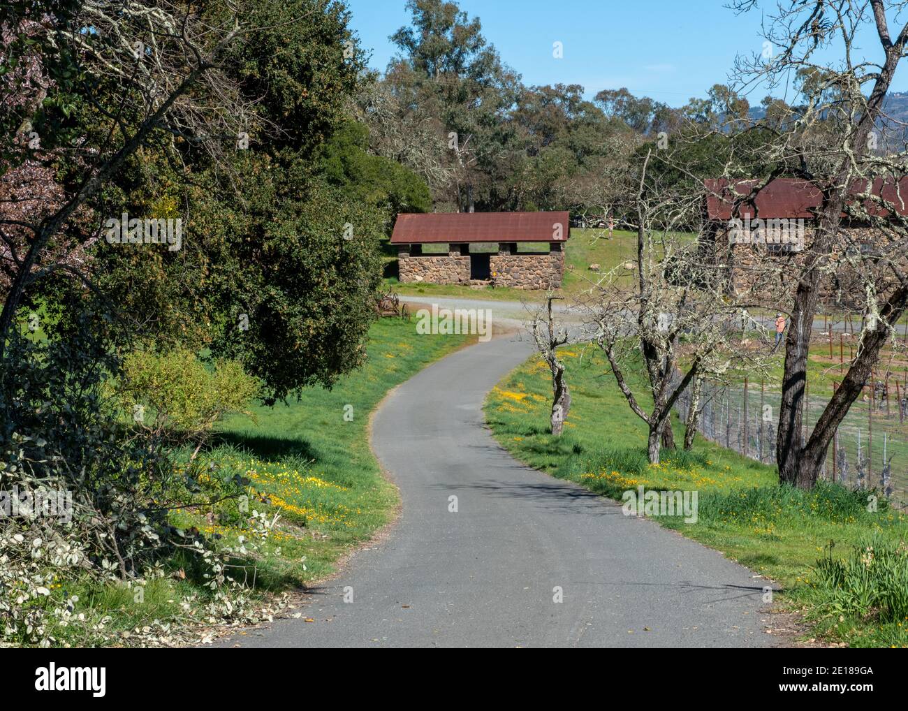 Sonoma, CA, USA, 2020-02-23. Robert Louis Stevenson state Park in primavera, con edifici storici in mattoni, un sentiero e fiori Foto Stock