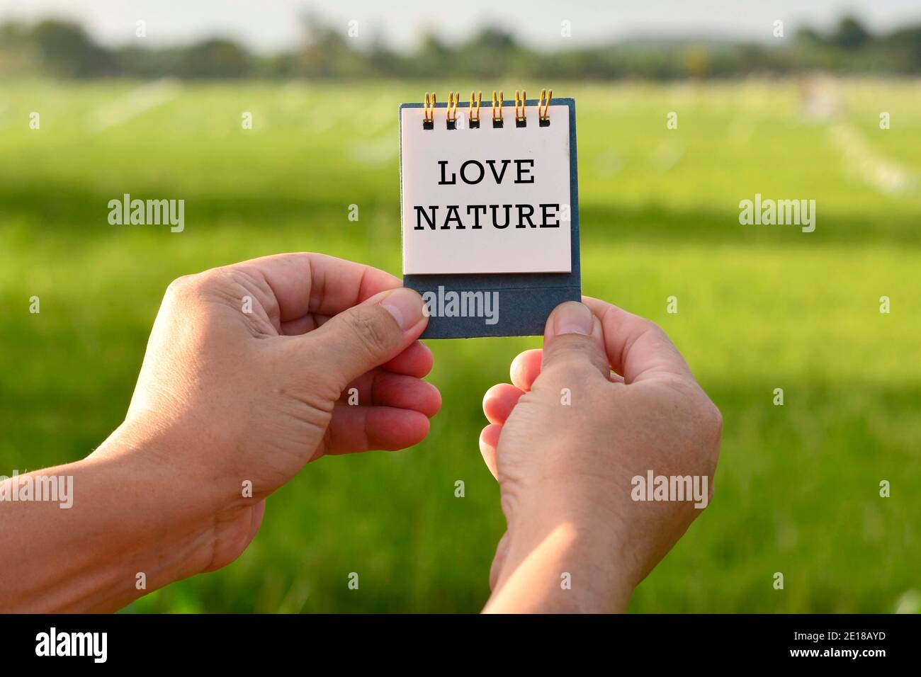 Mani tenere UN blocco note con testo scritto e verde sfocato Sfondo Foto Stock