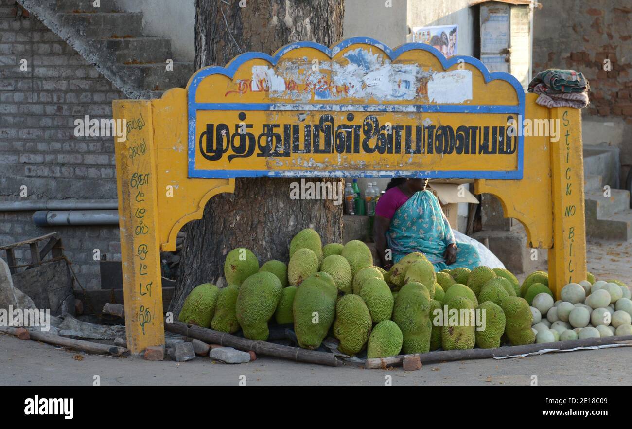 Un fornitore di Jackfruit Road Side a Pondicherry, India. Foto Stock