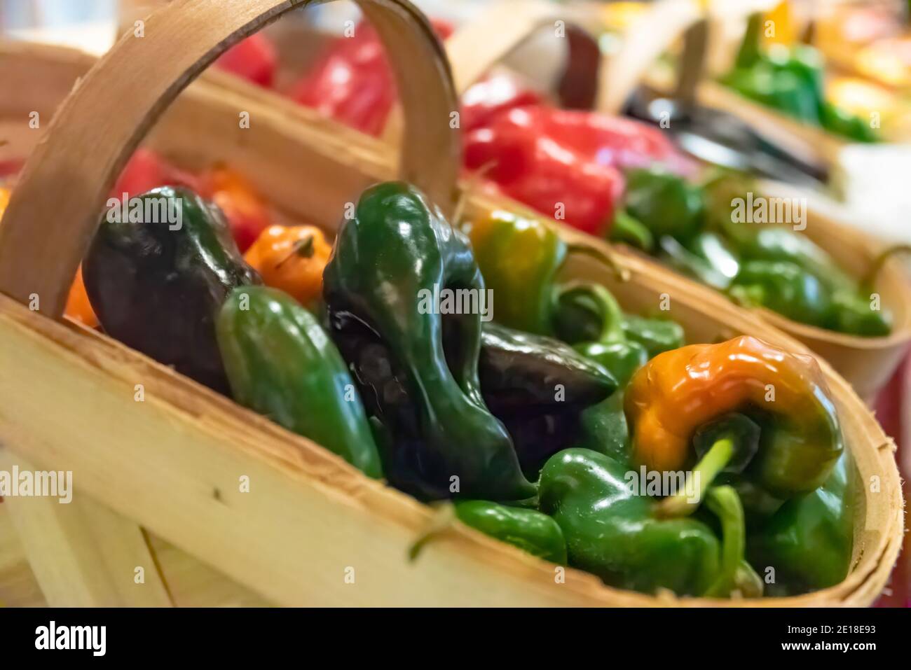 Peperoni locali colorati coltivati in Appalachian presso il mercato agricolo di Cashiers a Cashiers, Carolina del Nord. (STATI UNITI) Foto Stock