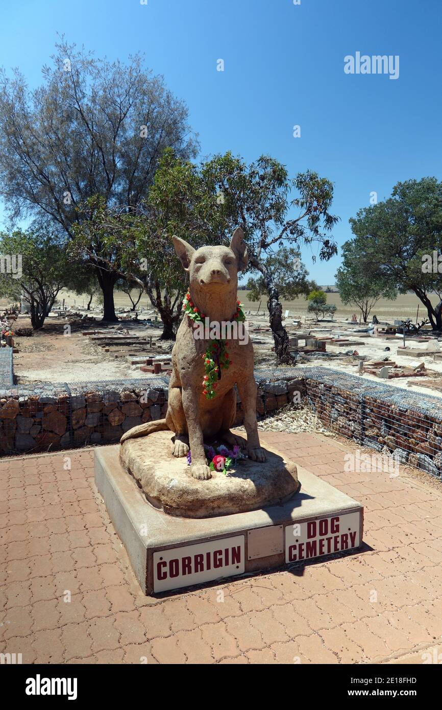 Cimitero dei cani di Corrigin, regione di Wheatbelt, Australia Occidentale. No PR Foto Stock Cimitero dei cani di Corrigin, regione di Wheatbelt, Australia Occidentale. No PR Foto Stock