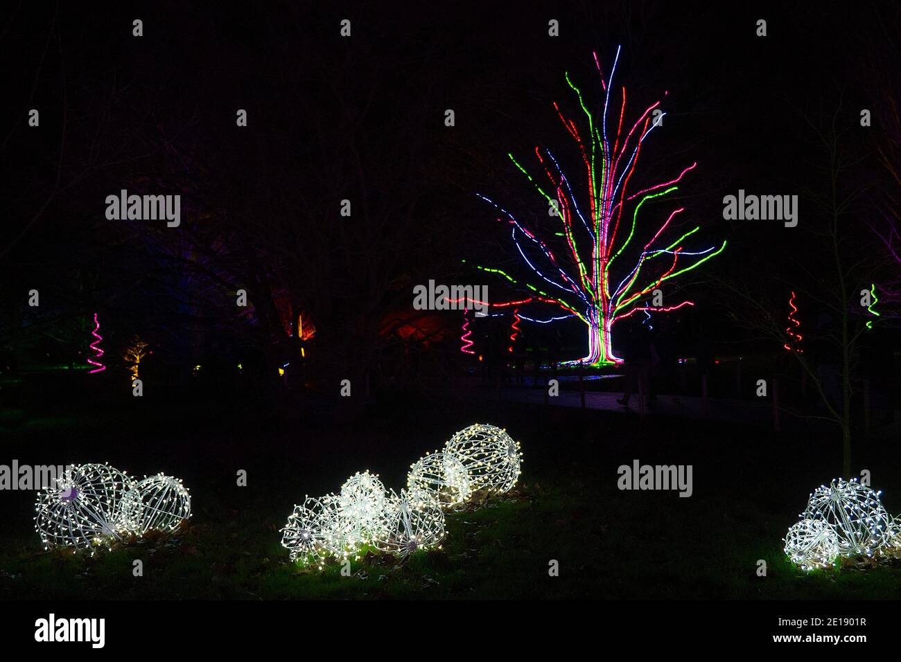 Kew Gardens festa della luce di Natale 2020 Foto Stock