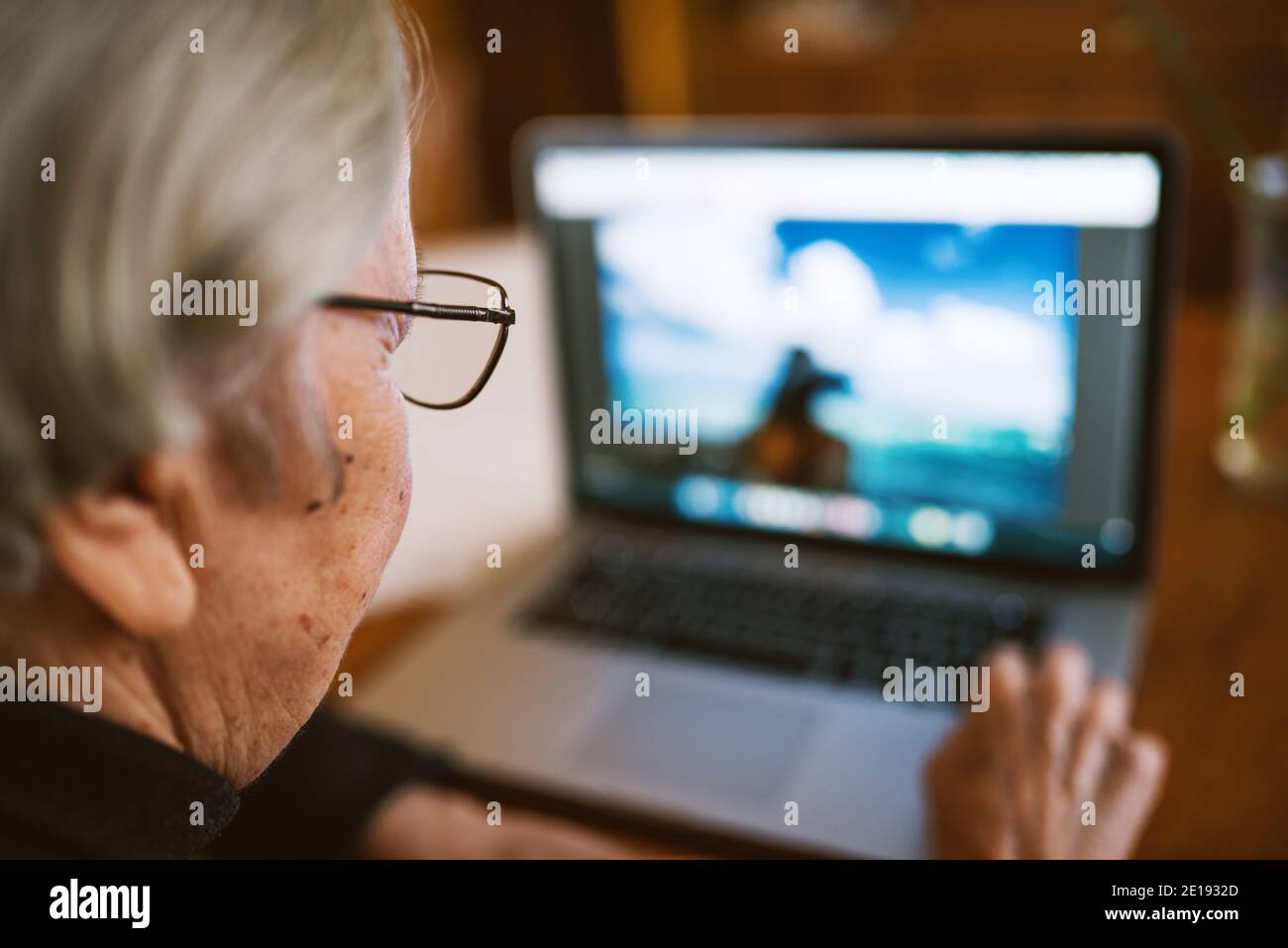 Vista ravvicinata posteriore di una donna anziana utilizzando un computer portatile e controllando le foto. Foto Stock