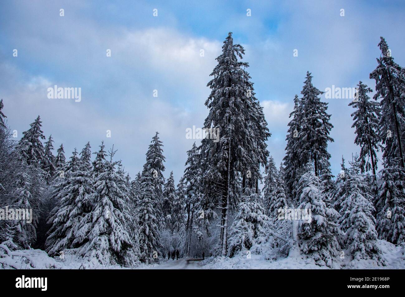 Fai un'escursione attraverso le cime innevate da Hohe Acht ad Adenau, vicino a Nürburgring Nordschleife Foto Stock