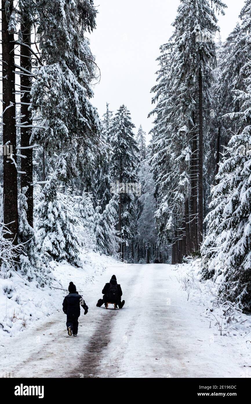 Padre e figlio che si divertono su una slitta nella parte più anteriore di Eifel Foto Stock