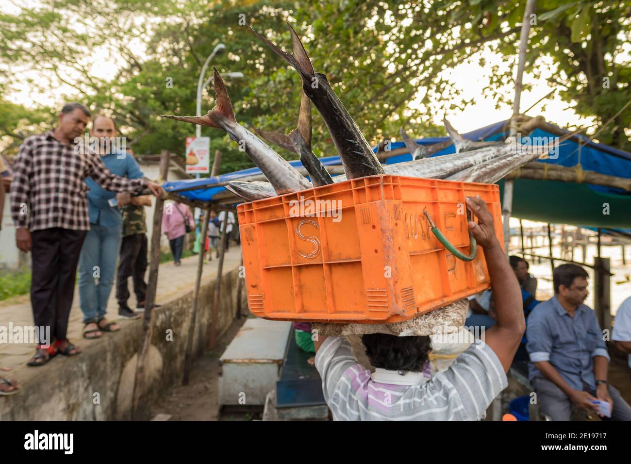 Cochin, India - 1 febbraio 2020: Scatola di trasporto del pescatore indiano non identificata con i pesci sul mercato del pesce a Fort Kochi, India Foto Stock