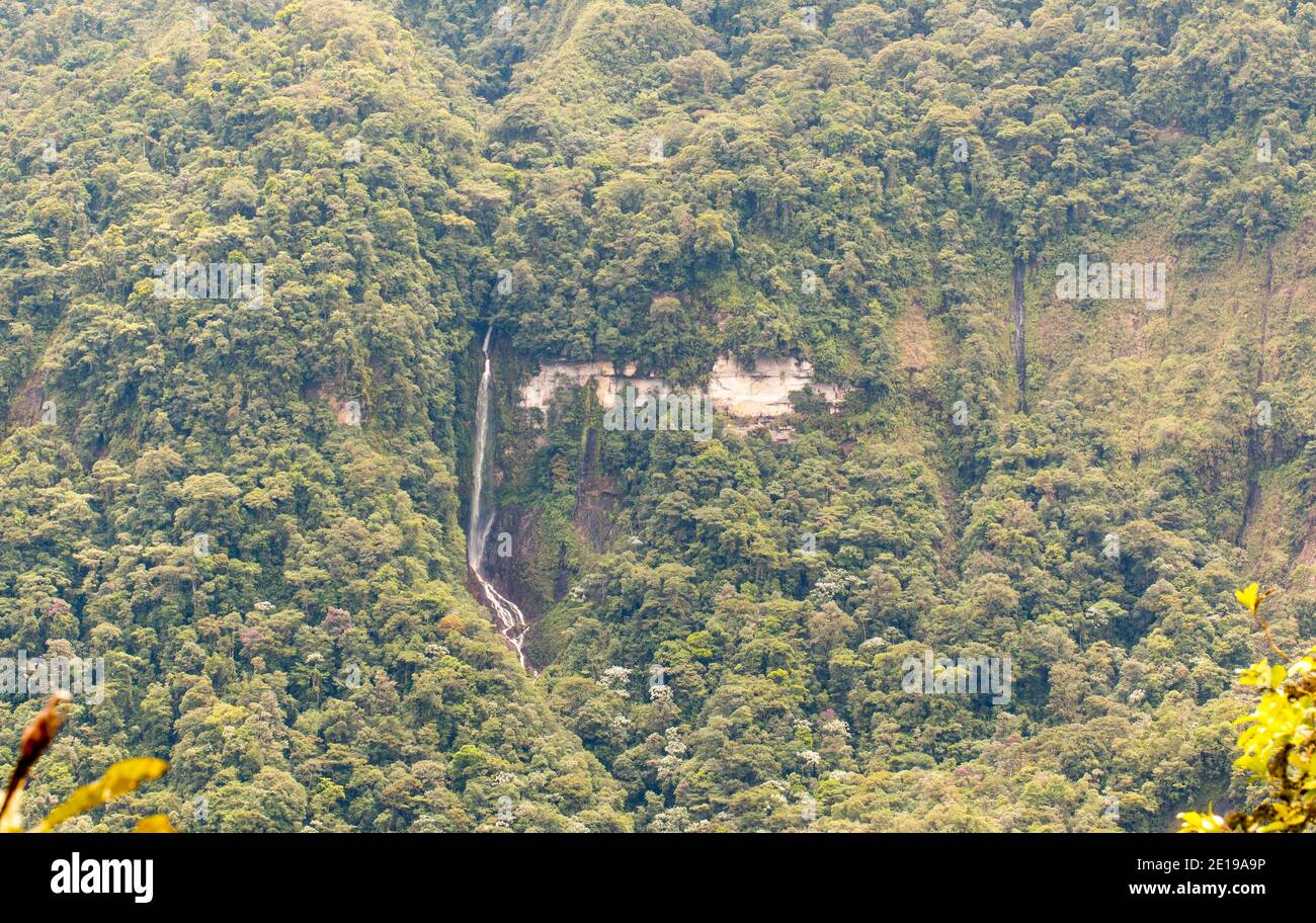 Ripida scogliera con cascata e affioramento calcareo nella Valle di Quijos, l'Amazzonia ecuadoriana. La foresta pluviale di montani primaria sta crescendo sulla scogliera. Foto Stock