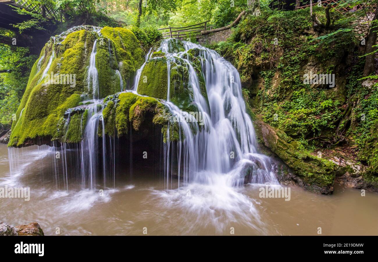 Bigar cascata è situato su 45 parallelo, nella foresta di Anina montagne, Romania ed è formata da un sotterraneo di acqua primavera strega spettacolare f Foto Stock