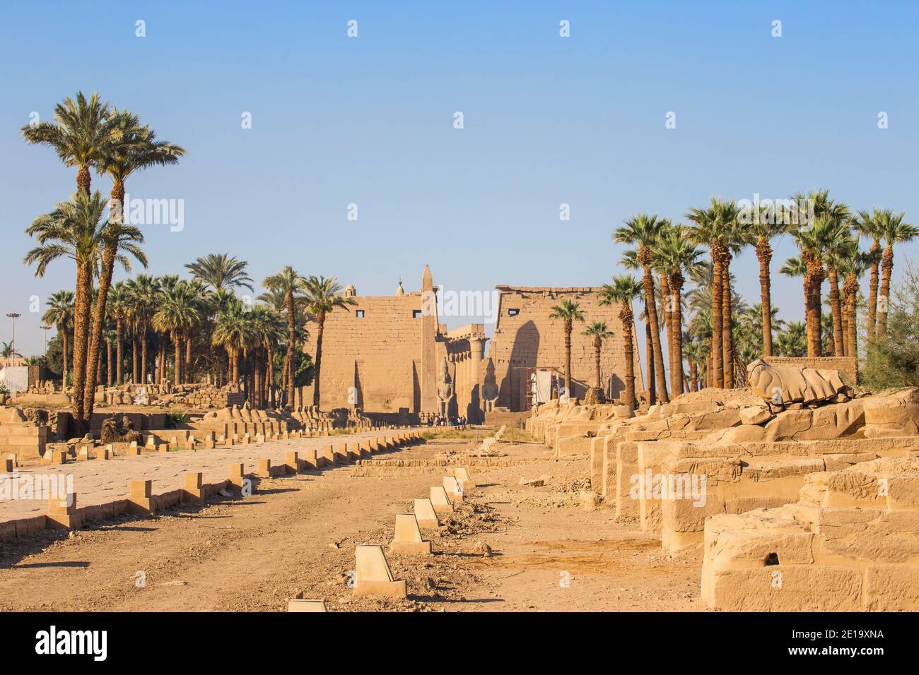 Egitto, Luxor, Viale di Spinxes che conduce all'entrata del Tempio di Luxor Foto Stock