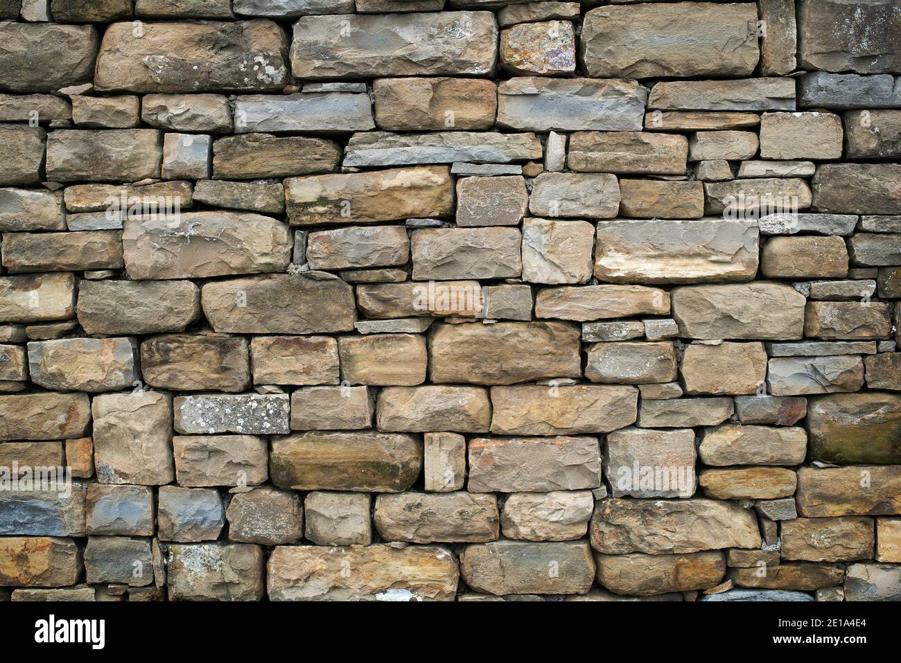 La texture di un muro di pietra. Il castello vecchio muro di pietra la texture dello sfondo. Muro di pietra come sfondo o texture. Parte di un muro di pietra, per sfondo o del testo Foto Stock