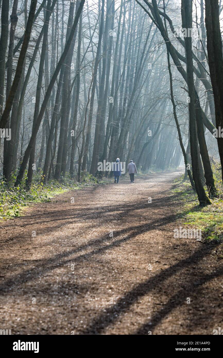 Una coppia anziana che cammina lungo la vecchia linea ferroviaria di Churnet a Oakamoor, Staffordshire, Inghilterra, Regno Unito Foto Stock