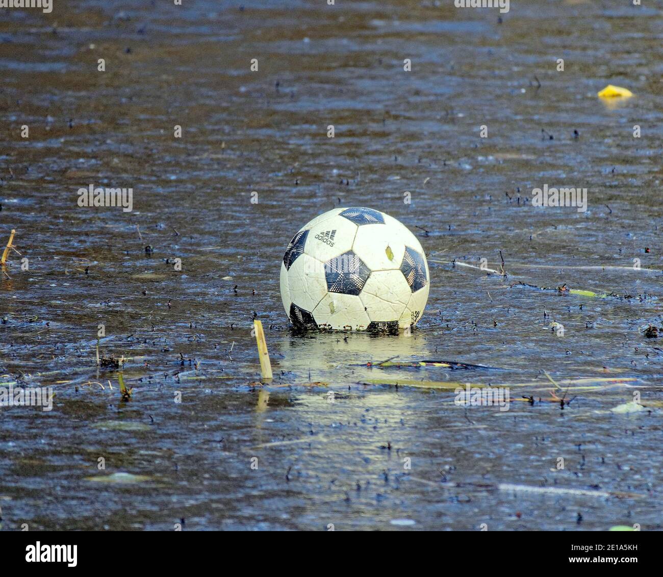 Glasgow, Scozia, Regno Unito. 5 gennaio 2021. Il livello 5 e un tempo ghiacciato di blocco totale sul canale hanno visto più di una partita di calcio annullata. Credit: Gerard Ferry/Alamy Live News Foto Stock