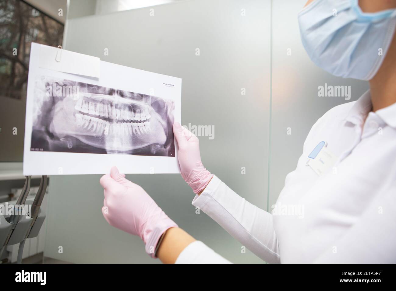 Ripresa tagliata di dentista femminile indossando maschera medica che mostra la mascella scansione a raggi x sulla fotocamera Foto Stock