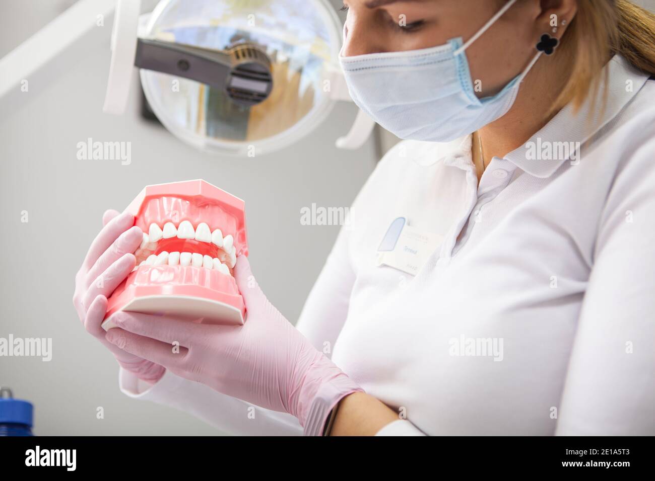 Scatto corto del dentista femminile che indossa la maschera medica che tiene dentale modello Foto Stock