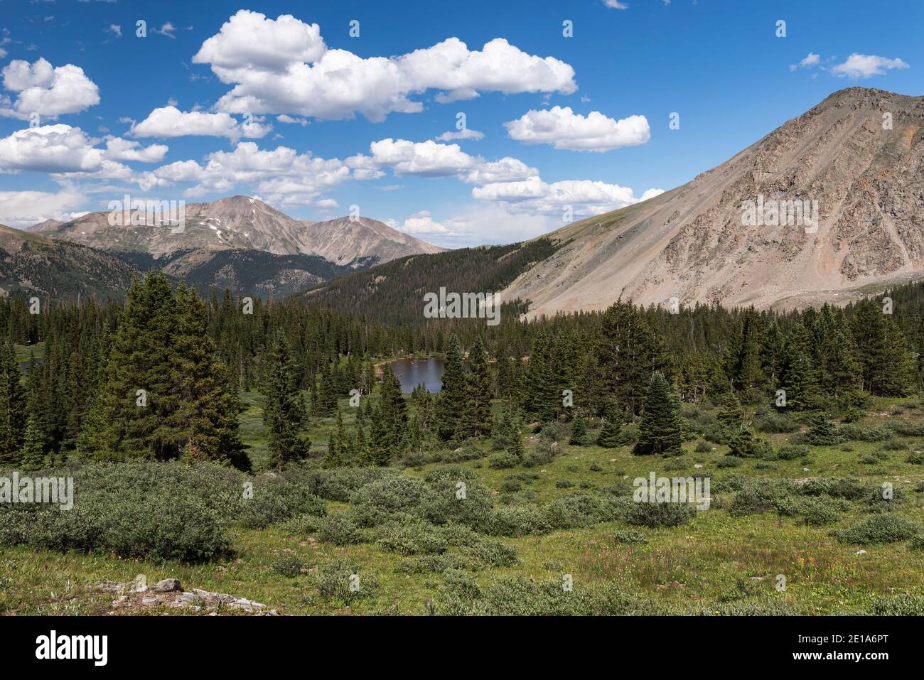 14,196 metri circa si trova Mount Yale, situato nella Collegiate Peaks Range all'interno della San Isabel National Forest, Colorado. Foto Stock