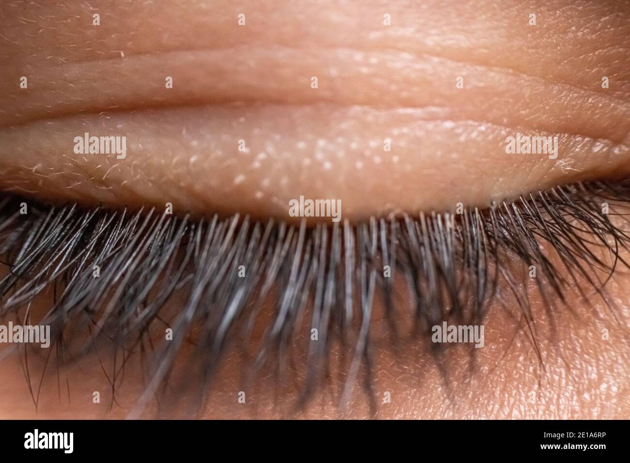 Un closeup di una ragazza bianca chiuso occhio che mostra il suo ciglia lunghe Foto Stock
