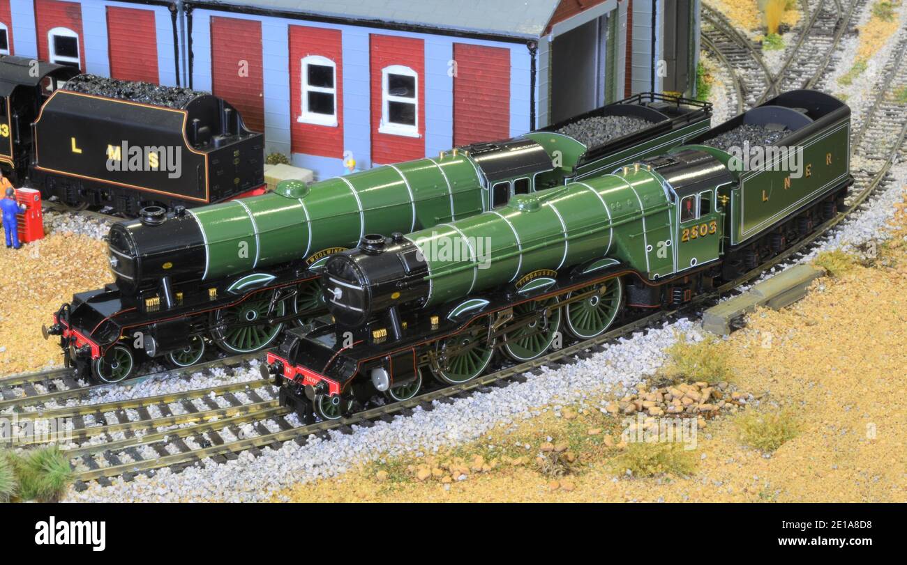 Firdaussi e Woolwinder due locomotive A3 Foto Stock