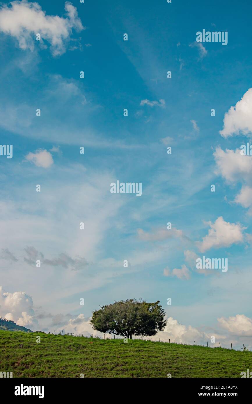 Un bellissimo paesaggio di campagna che mostra un albero unico in piedi sulla collina con uno sfondo blu meraviglioso cielo abbondanza di cotone come nuvole, almos Foto Stock