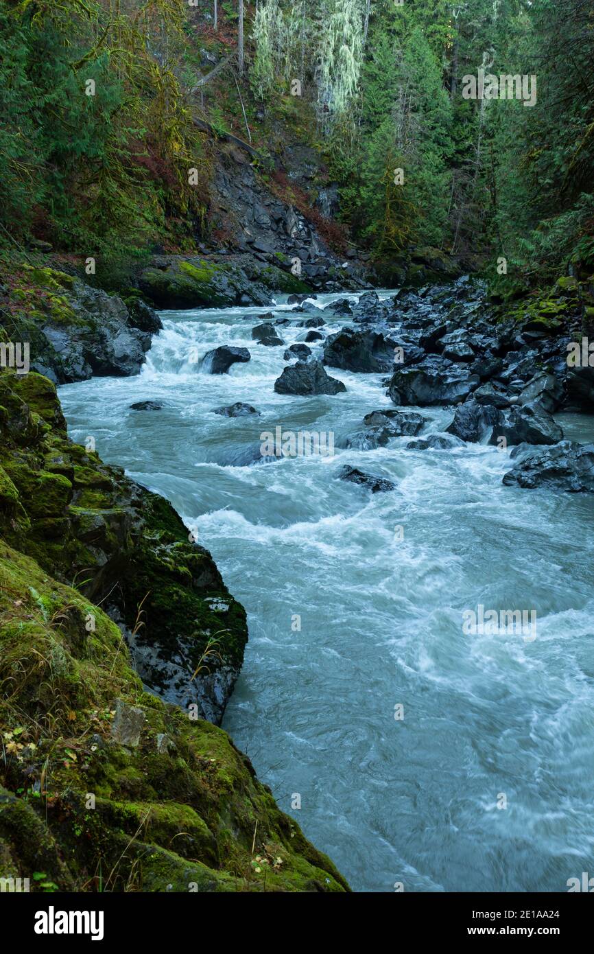 WA19011-00...WASHINGTON - il fiume Stillaguamish si dirige in una stretta gola sul vecchio sentiero di Robe. Foto Stock