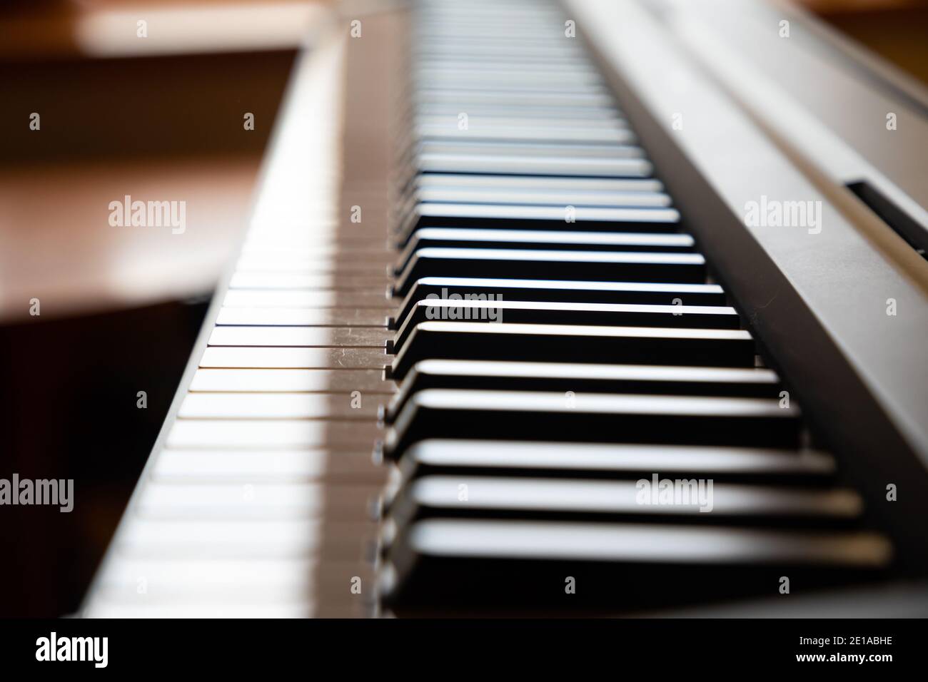 Primo piano dei tasti del pianoforte a luce diurna, in bianco e nero Foto Stock