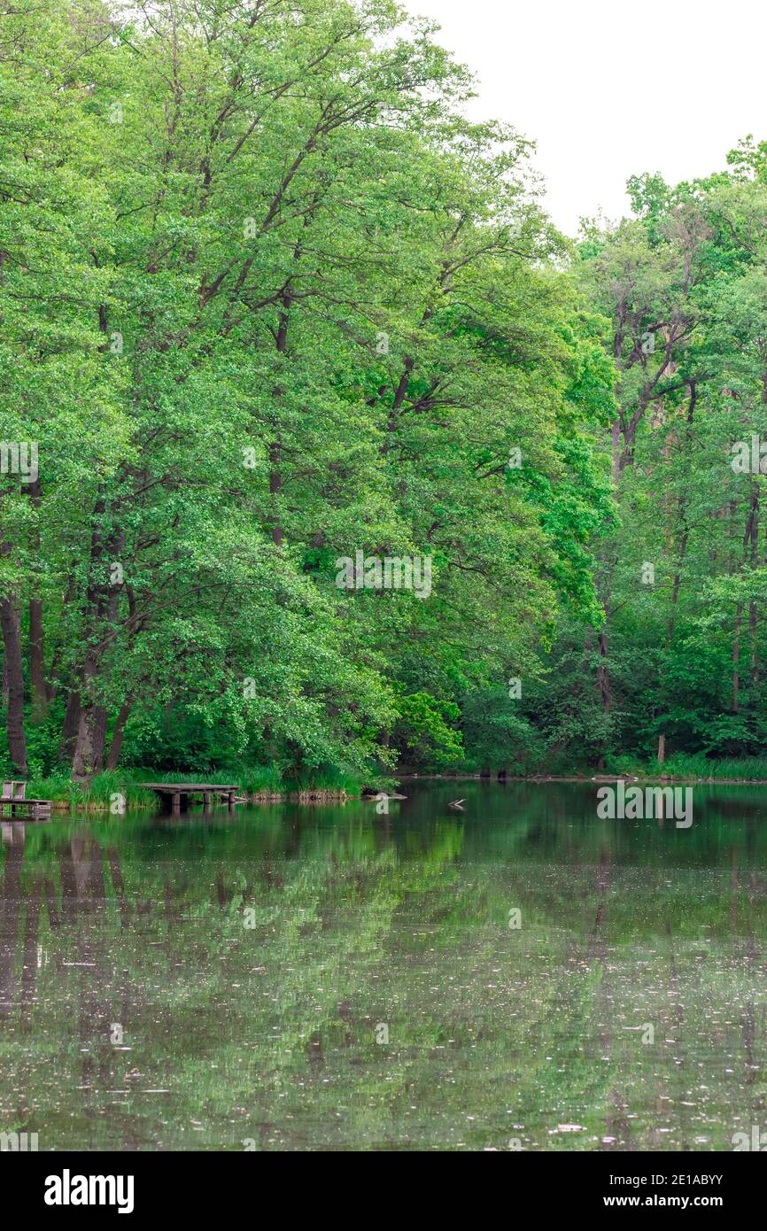 Scena tranquilla sul lago con alberi che si riflettono in tranquillità shot verticale di superficie Foto Stock