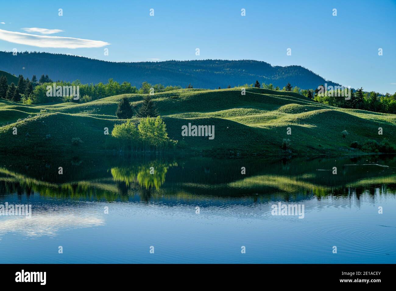 Praterie, Lac Du Bois Area protetta, vicino a Kamloops, British Columbia, Canada Foto Stock