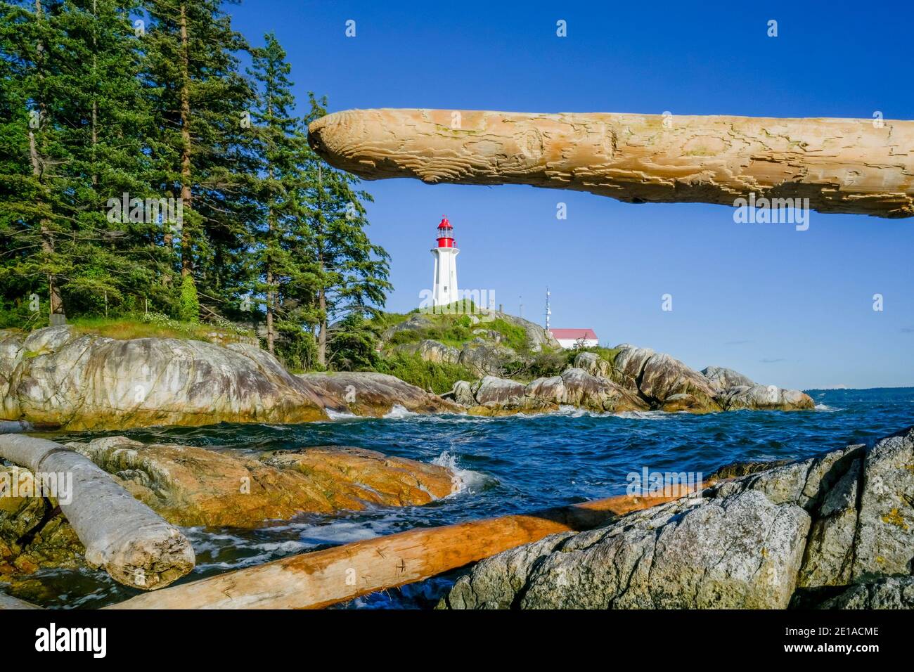 Driftwood logs, faro di Point Atkinson, Lighthouse Park, Vancouver ovest, British Columbia, Canada Foto Stock