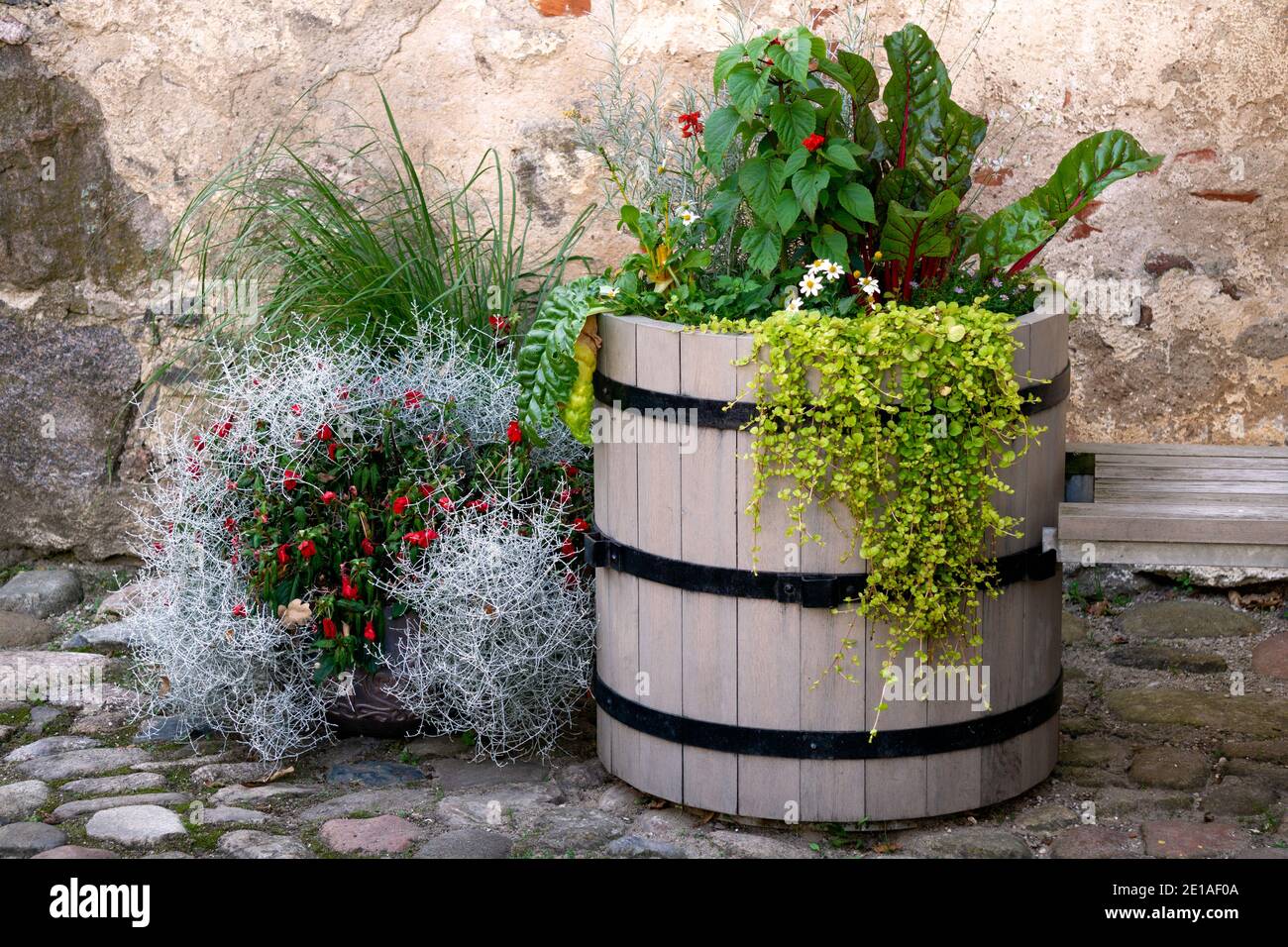 Un letto di fiori splendidamente decorato da un barile e da mezzi improvvisati Foto Stock