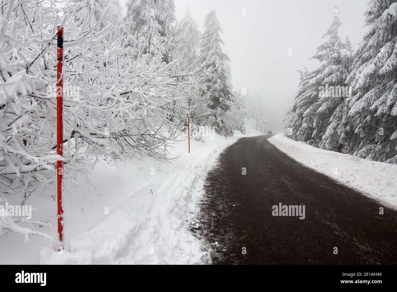 Strada invernale con alberi di conifere innevati che conducono in lontananza nella Foresta Nera vicino a Mummelsee, Germania Foto Stock