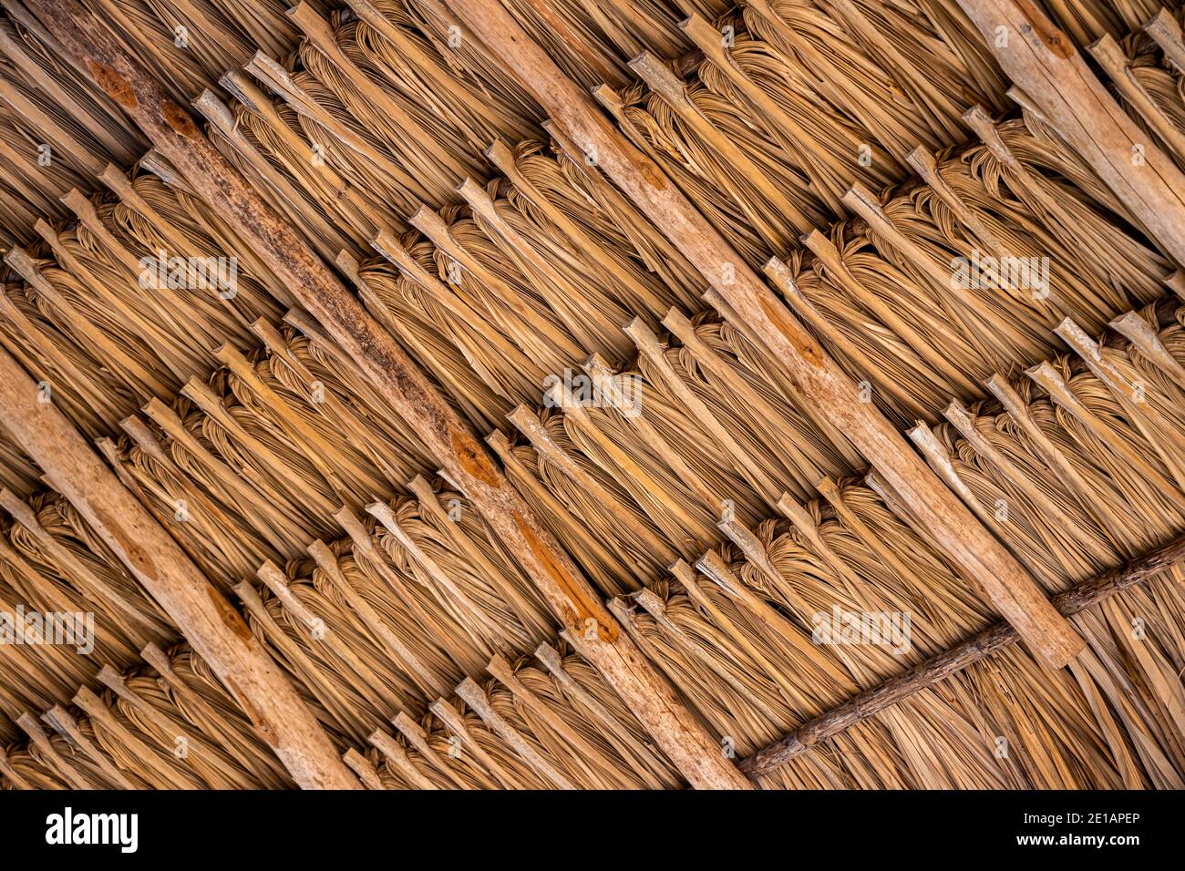 I dettagli della parte inferiore di una casa primitiva tetto di paglia Foto Stock