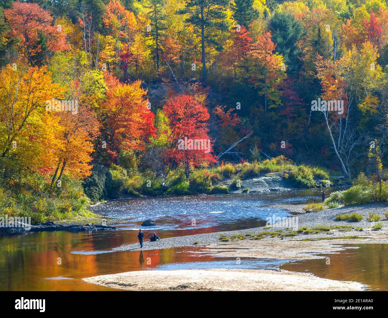 Giorno di autunno vicino al fiume, Chutes Prov Park, ON, Canada Foto Stock